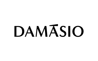 Damásio Educacional